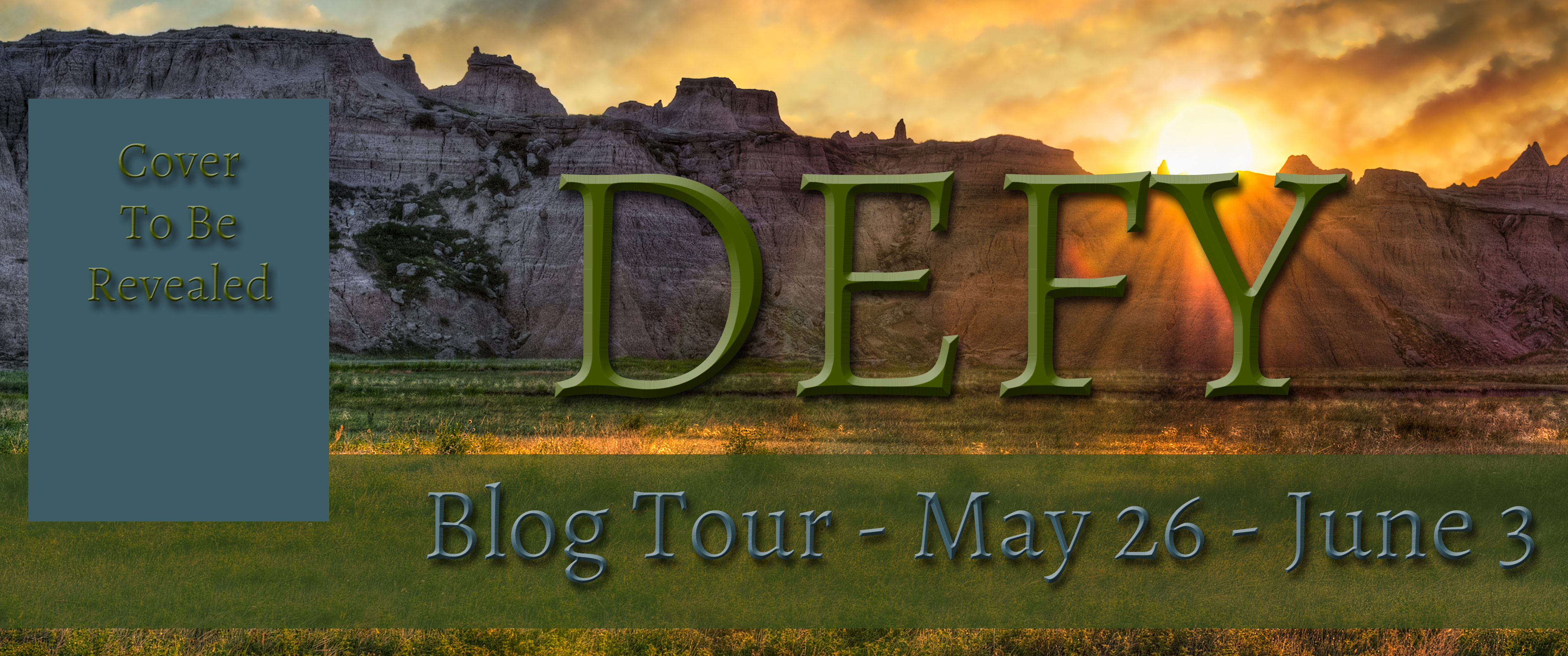 Defy Blog Tour Header