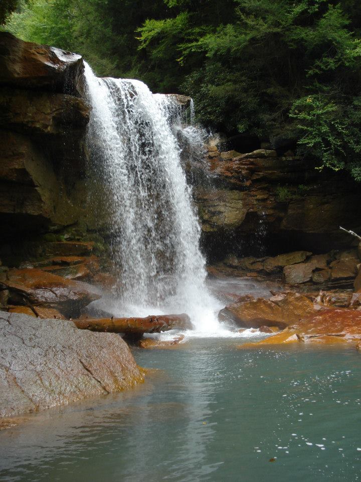 285070_535020279845686_580282250_n