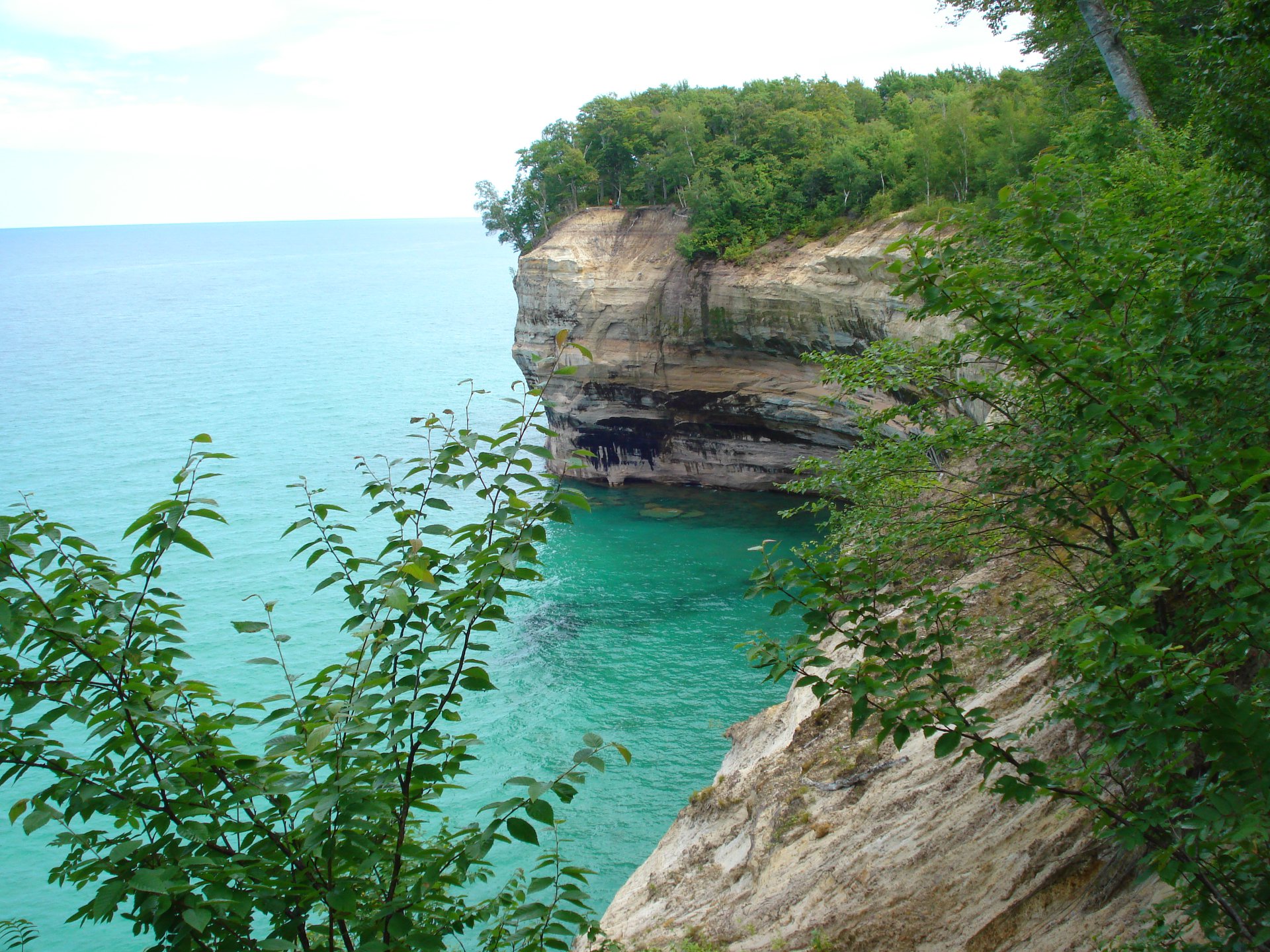 68736483_2865632016784489_5110923477792063488_o